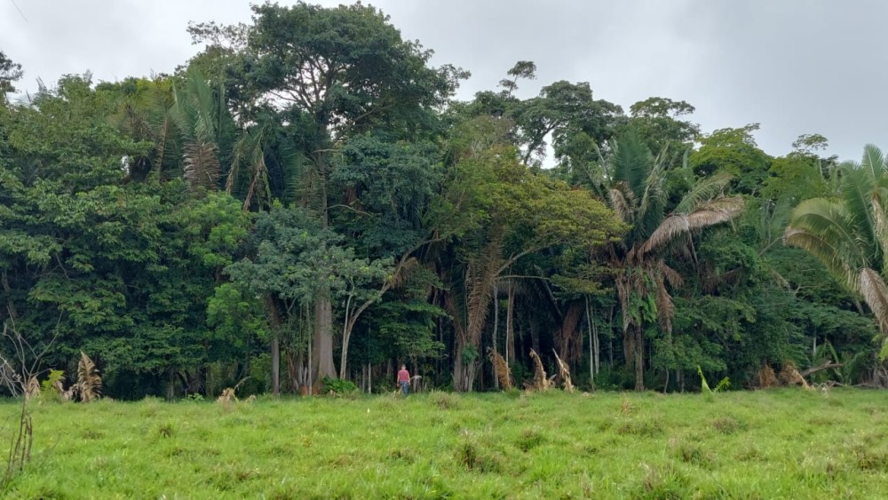 Excelente Oportunidade: Terra Escriturada com 23 Alqueires na 617