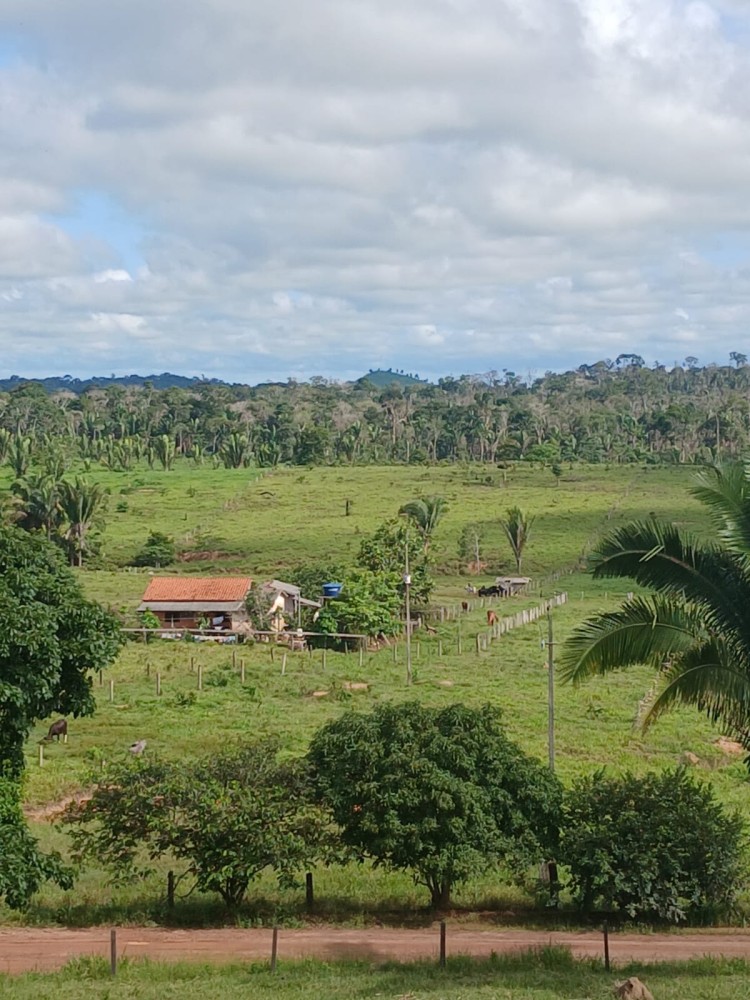 Vende-se terra 12 alqueires em Theobroma-vale encantado