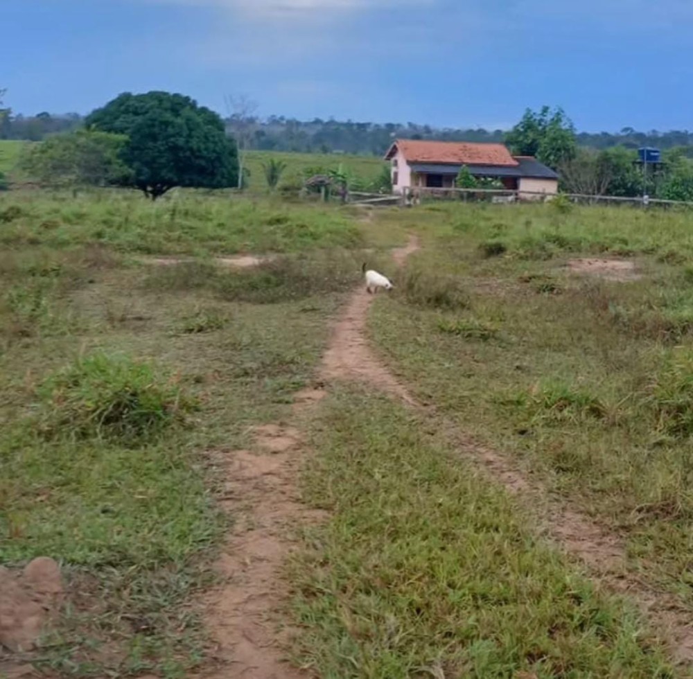 Vende-se terra 12 alqueires em Theobroma-vale encantado