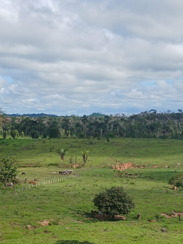 Vende-se terra 12 alqueires em Theobroma-vale encantado