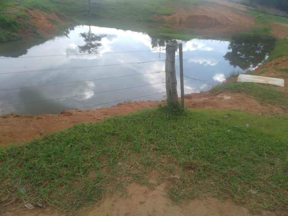 Vende-se terra 15 alqueires na linha 628 em Jaru