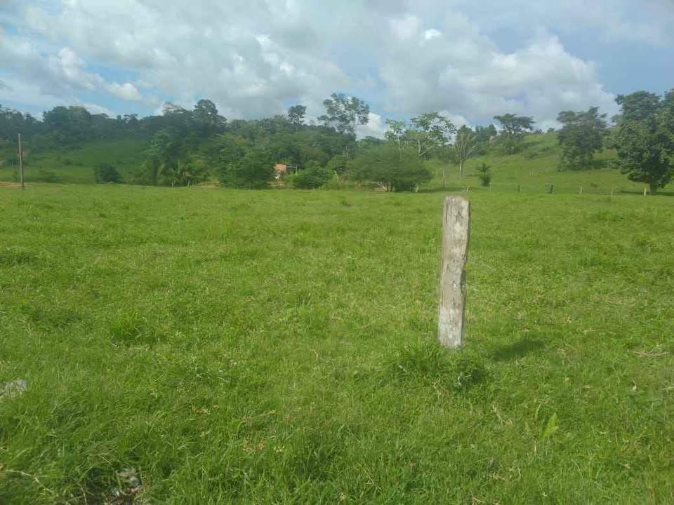 Vende-se terra 15 alqueires na linha 628 em Jaru