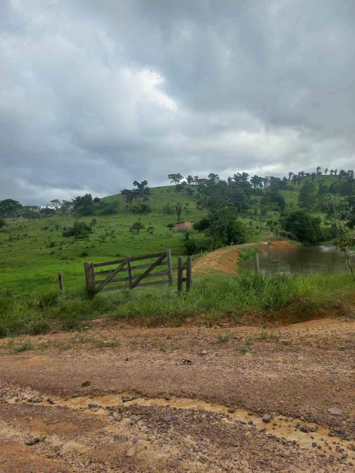 Vende-se terra 15 alqueires na linha 628 em Jaru