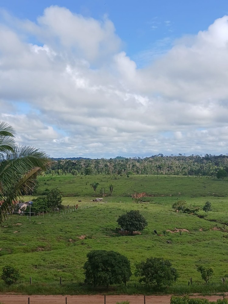 Vende-se terra 12 alqueires em Theobroma-vale encantado