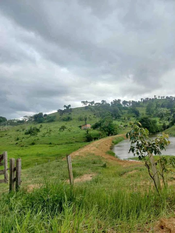 Vende-se terra 15 alqueires na linha 628 em Jaru