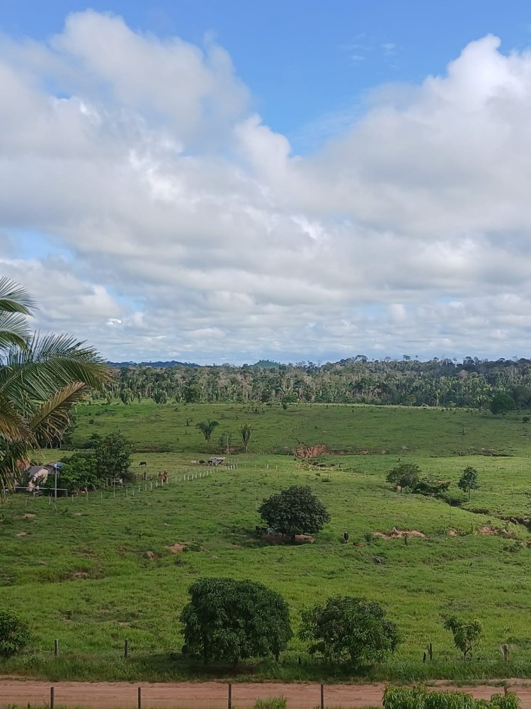 Vende-se terra 12 alqueires em Theobroma-vale encantado