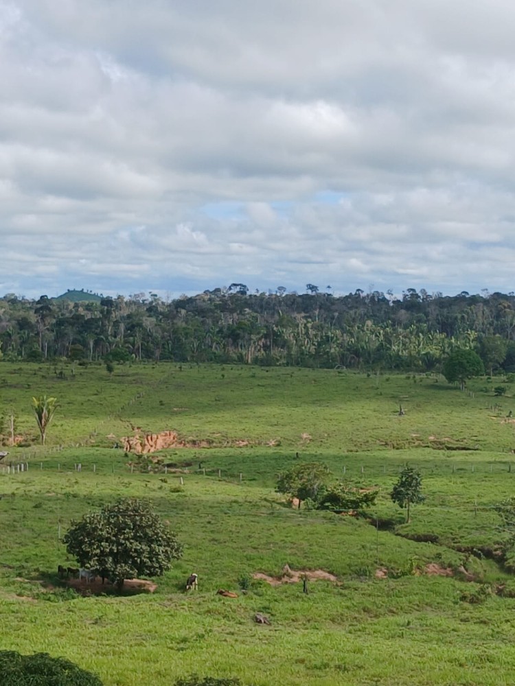 Vende-se terra 12 alqueires em Theobroma-vale encantado