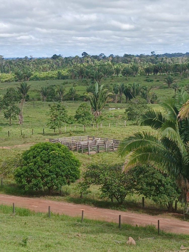 Vende-se terra 12 alqueires em Theobroma-vale encantado