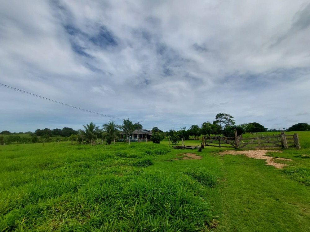 Vende-se terra 11 alqueires com casa e curral a 17 km de theobroma