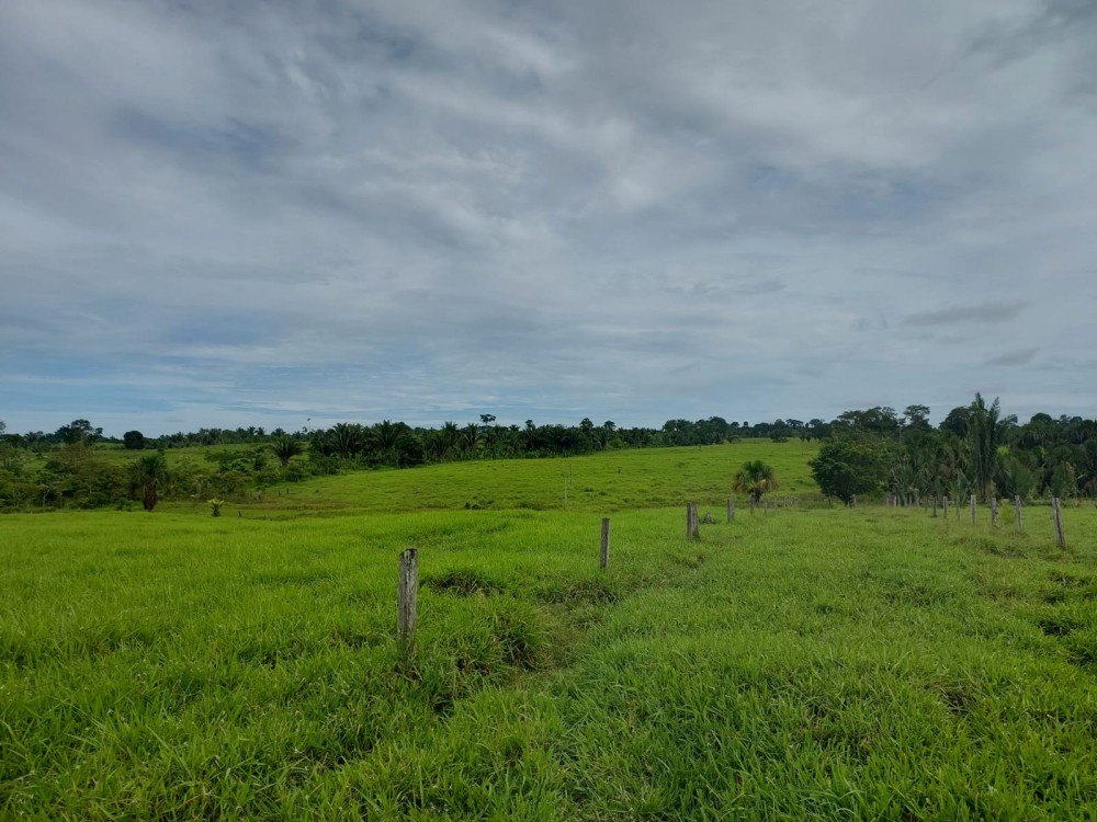 Vende-se terra 11 alqueires com casa e curral a 17 km de theobroma