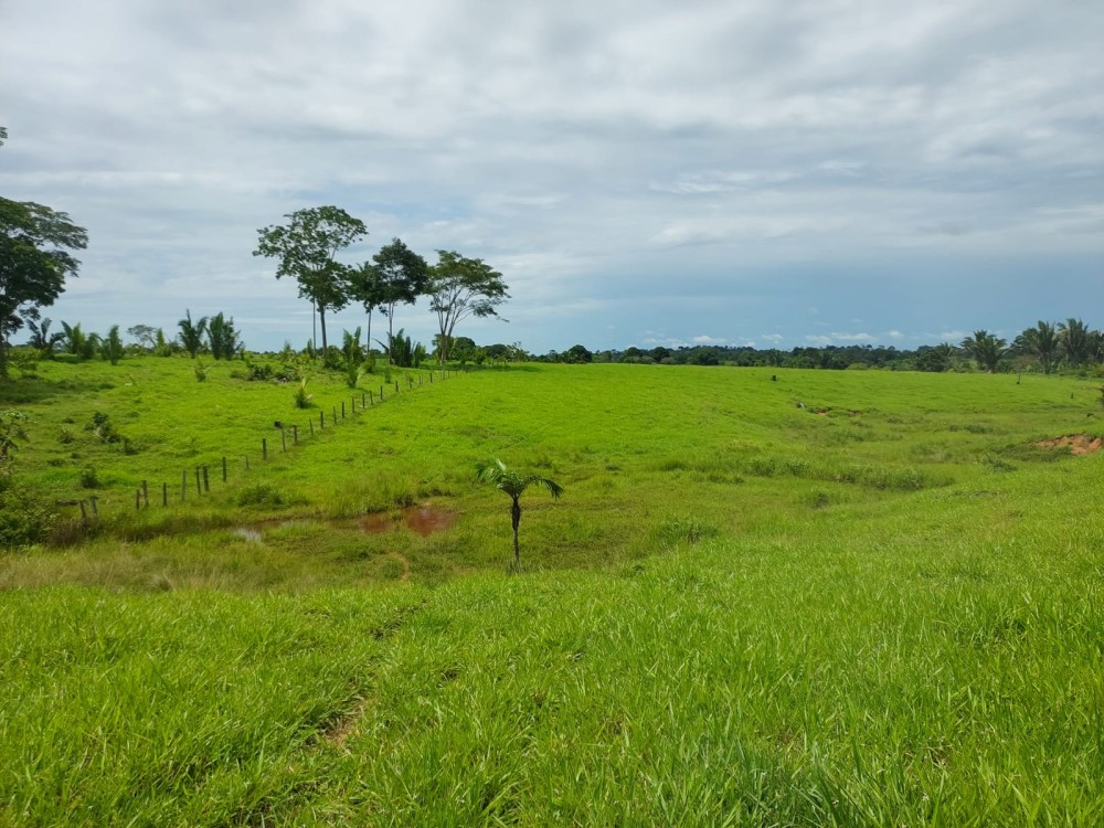 Vende-se terra 11 alqueires com casa e curral a 17 km de theobroma