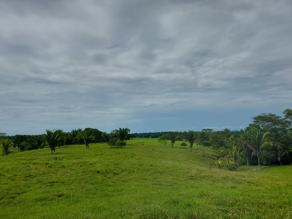Vende-se terra 11 alqueires com casa e curral a 17 km de theobroma