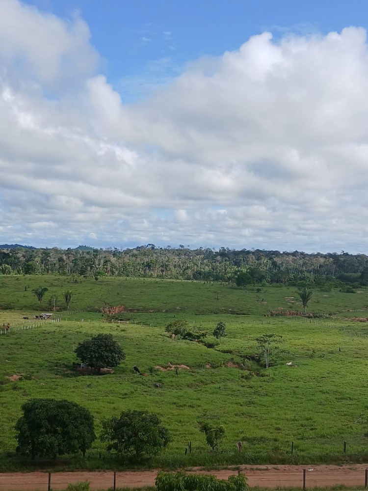 Vende-se terra 12 alqueires em Theobroma-vale encantado