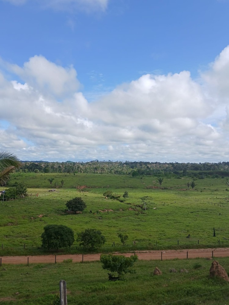 Vende-se terra 12 alqueires em Theobroma-vale encantado