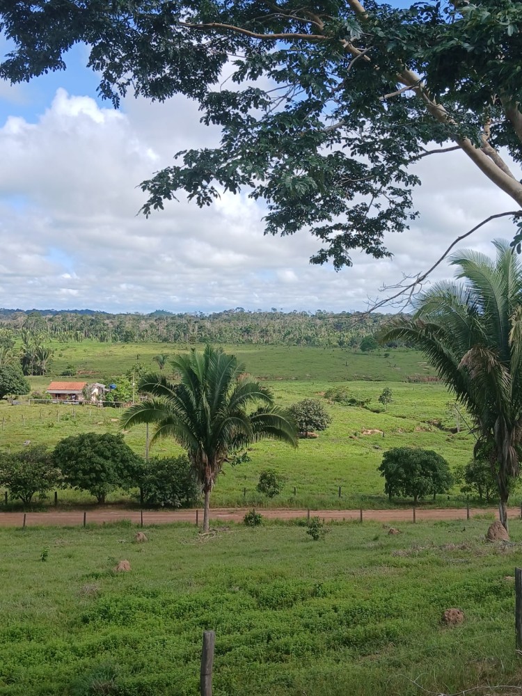 Vende-se terra 12 alqueires em Theobroma-vale encantado