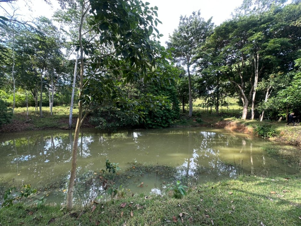 Oportunidade única: Meio Alqueire dentro de Jaru, próximo ao Luzia Abranches