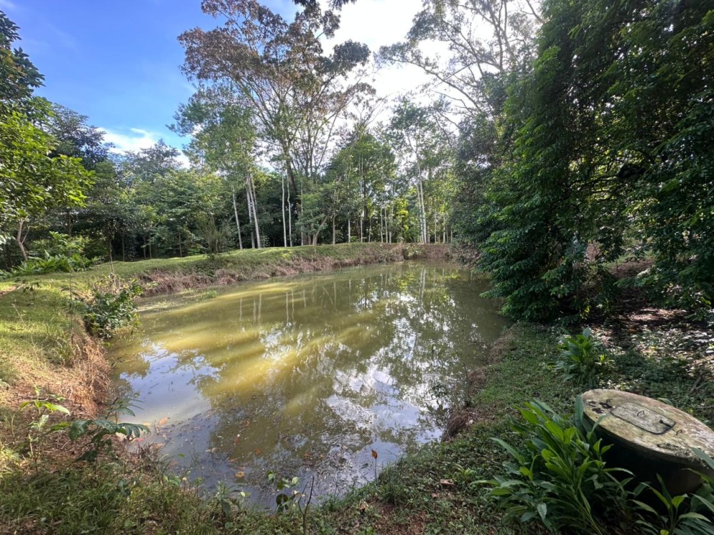 Oportunidade única: Meio Alqueire dentro de Jaru, próximo ao Luzia Abranches