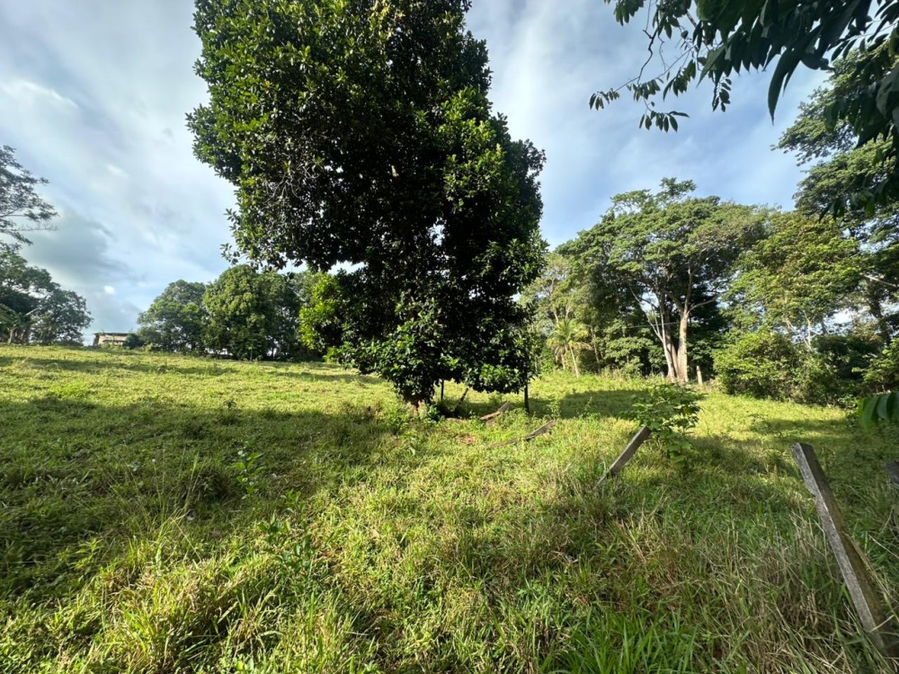 Oportunidade única: Meio Alqueire dentro de Jaru, próximo ao Luzia Abranches