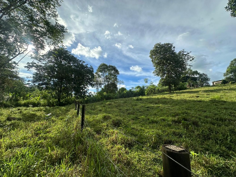 Oportunidade única: Meio Alqueire dentro de Jaru, próximo ao Luzia Abranches