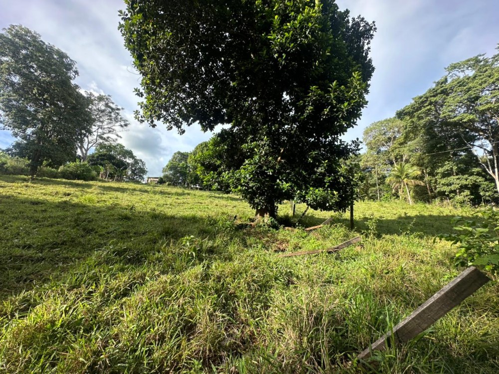 Oportunidade única: Meio Alqueire dentro de Jaru, próximo ao Luzia Abranches