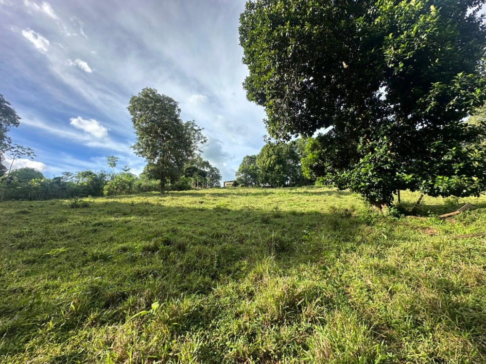 Oportunidade única: Meio Alqueire dentro de Jaru, próximo ao Luzia Abranches