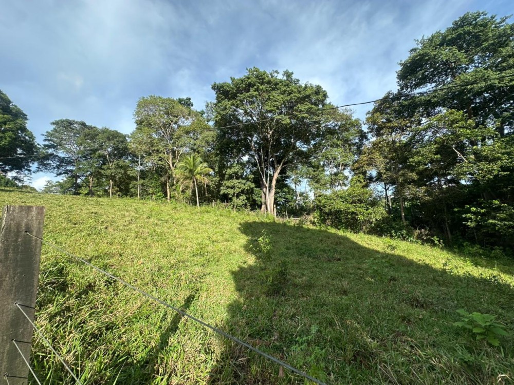 Oportunidade única: Meio Alqueire dentro de Jaru, próximo ao Luzia Abranches