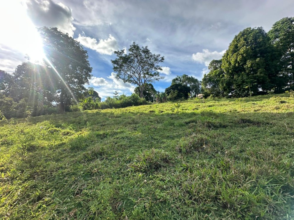 Oportunidade única: Meio Alqueire dentro de Jaru, próximo ao Luzia Abranches