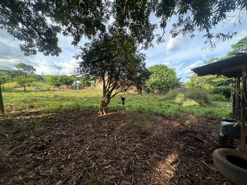 Oportunidade única: Meio Alqueire dentro de Jaru, próximo ao Luzia Abranches