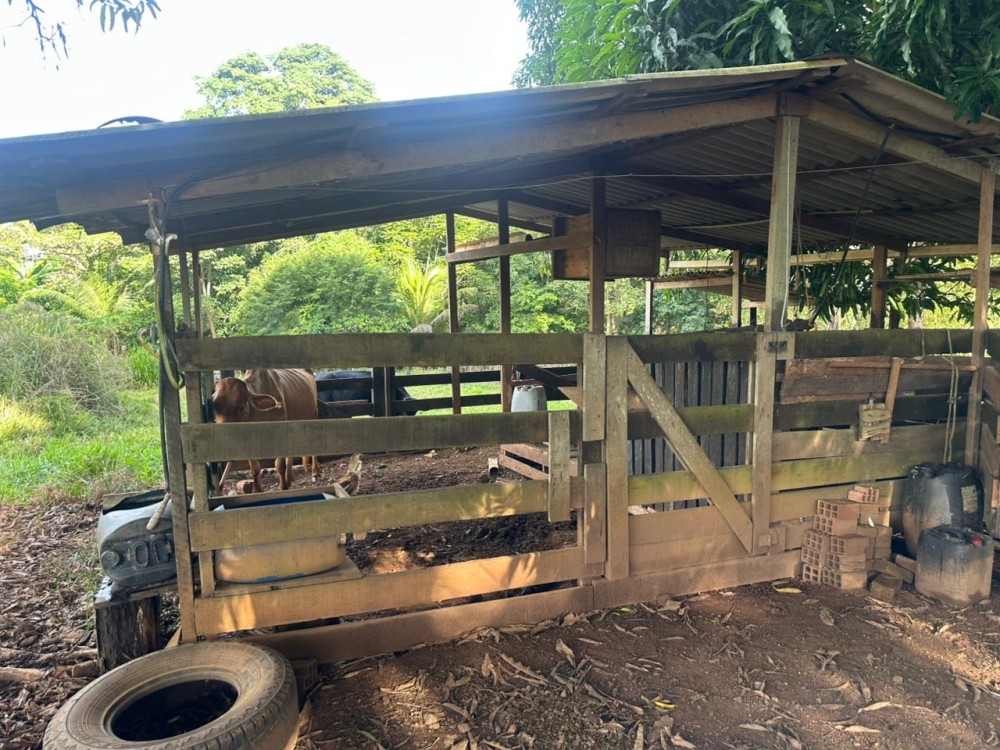 Oportunidade única: Meio Alqueire dentro de Jaru, próximo ao Luzia Abranches