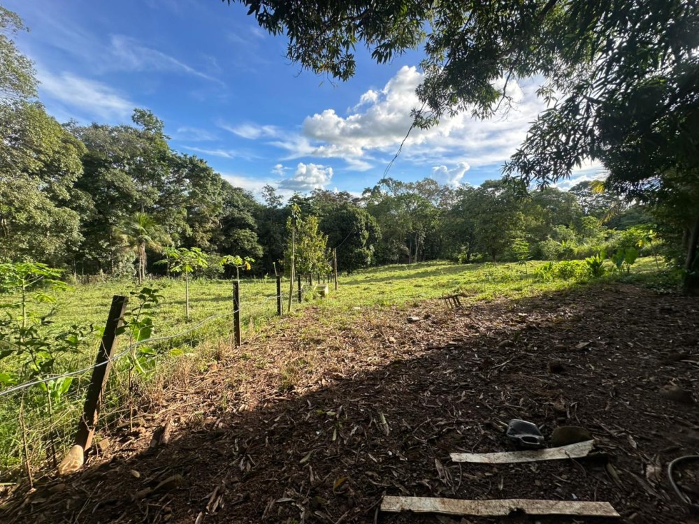 Oportunidade única: Meio Alqueire dentro de Jaru, próximo ao Luzia Abranches