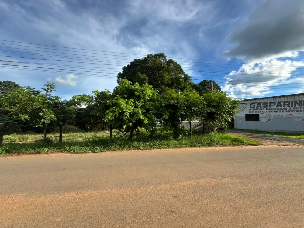 Oportunidade única: Meio Alqueire dentro de Jaru, próximo ao Luzia Abranches