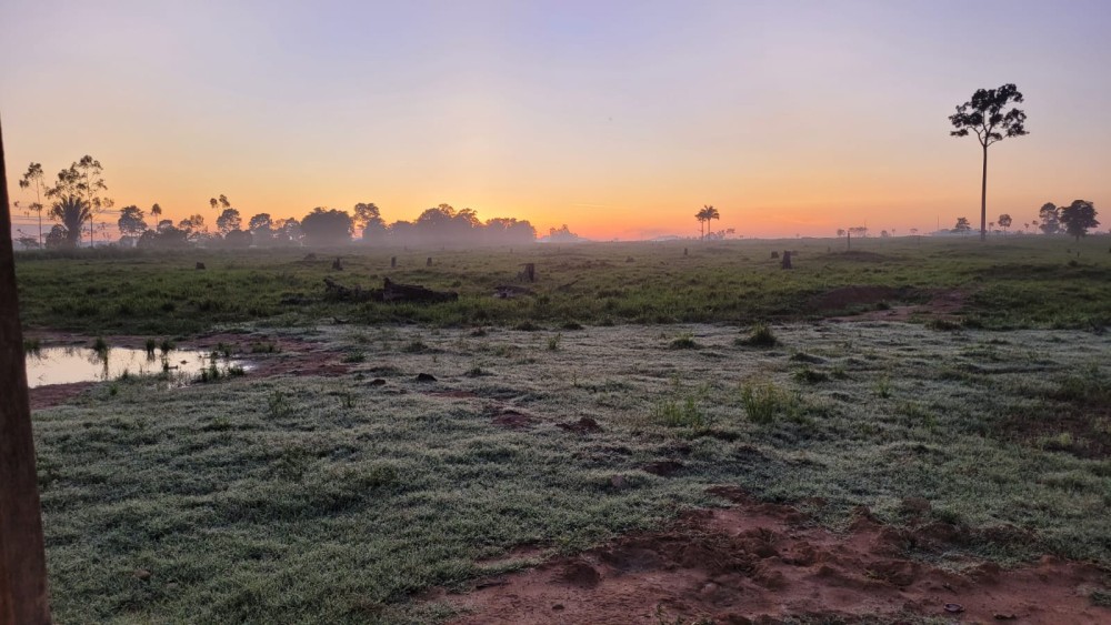 VENDE-SE FAZENDA FORMADA – 165 ALQUEIRES