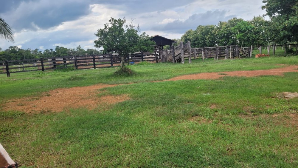 VENDE-SE FAZENDA FORMADA – 165 ALQUEIRES