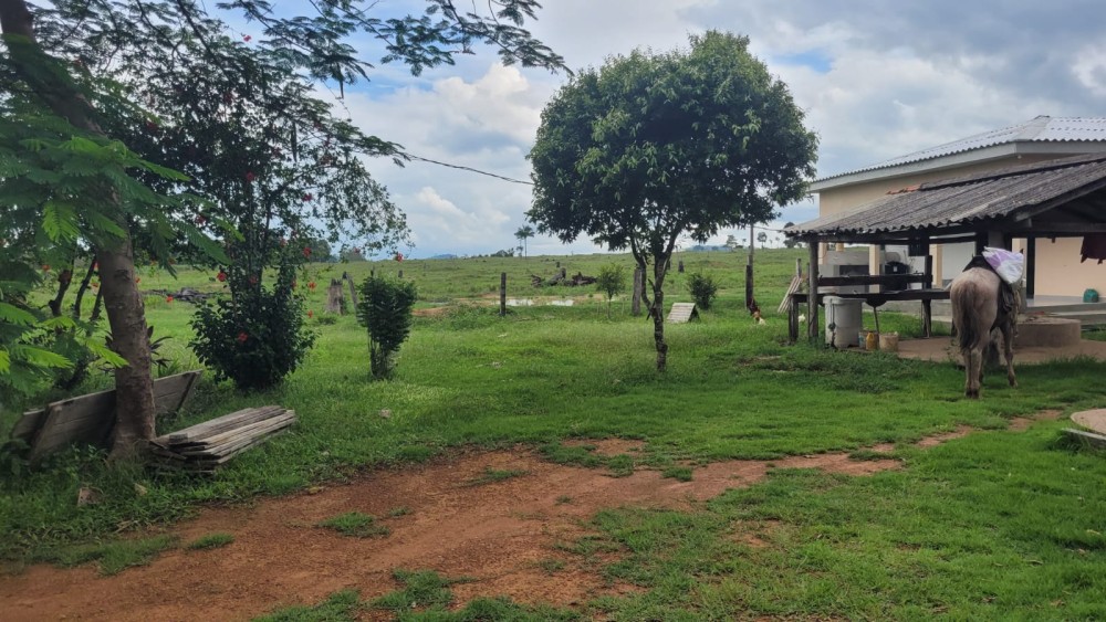 VENDE-SE FAZENDA FORMADA – 165 ALQUEIRES