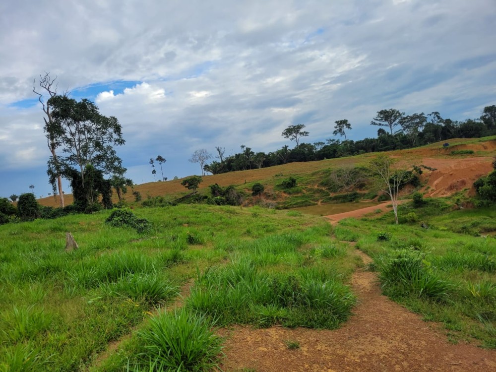 VENDE-SE FAZENDA FORMADA – 165 ALQUEIRES