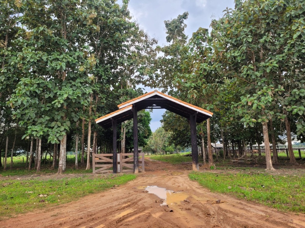 VENDE-SE FAZENDA FORMADA – 165 ALQUEIRES