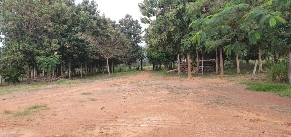 VENDE-SE FAZENDA FORMADA – 165 ALQUEIRES