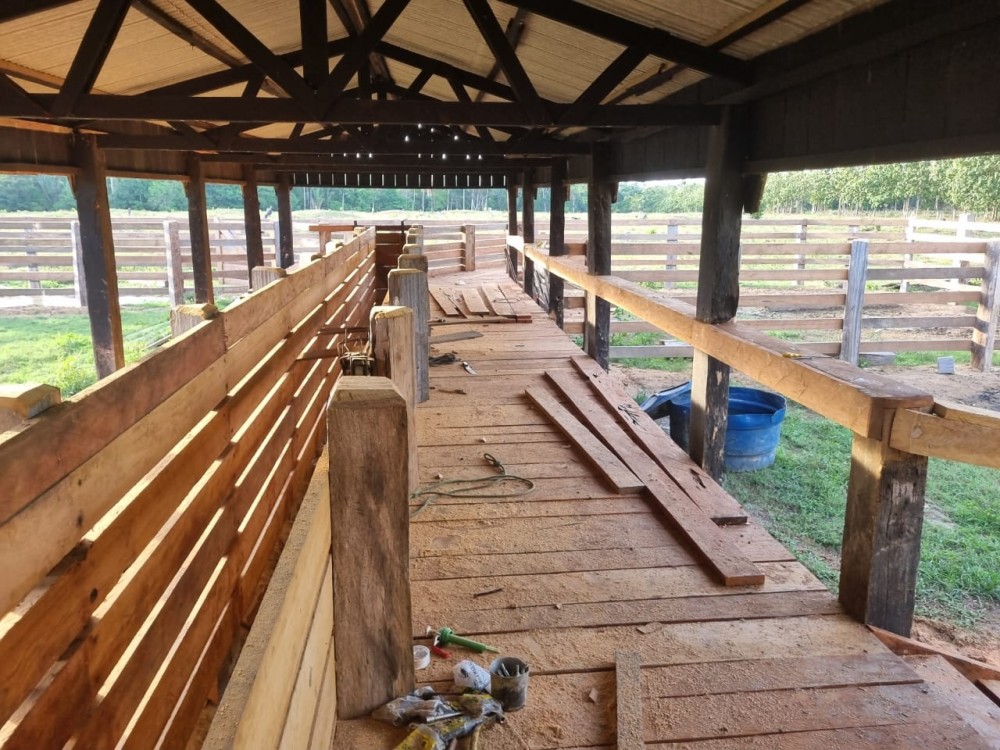 VENDE-SE FAZENDA FORMADA – 165 ALQUEIRES