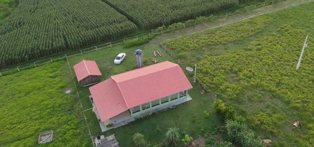 (Oportunidade de negócio)Vende-se linda propriedade de 9 alqueires, 5 KM da BR 364, 19 km de Jaru sentido  Ariquemes.