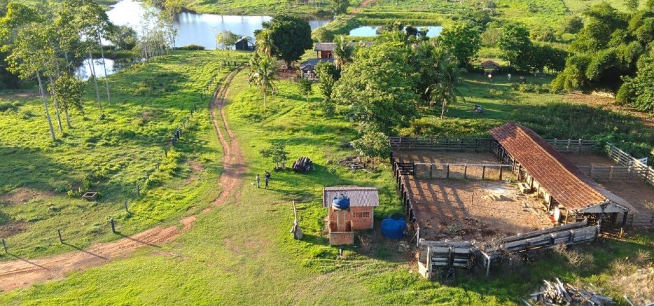 Oportudade de negócio, terra abaixo do valor de mercado vende-se 208 alqueires a a 20 km de Jaru