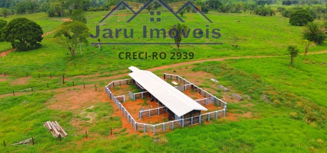 Vende-se 30 alqueires formados 5 km de Jaru-RO, valor R$ 120 mil o alqueire