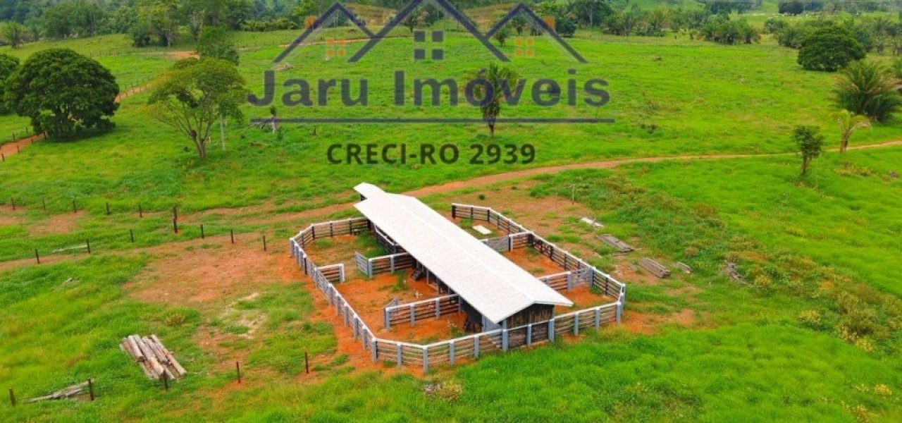 Vende-se 30 alqueires formados 5 km de Jaru-RO, valor R$ 120 mil o alqueire