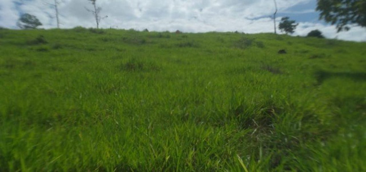 Vende-se 10,5 alqueires a 4 km de Vale do Anari