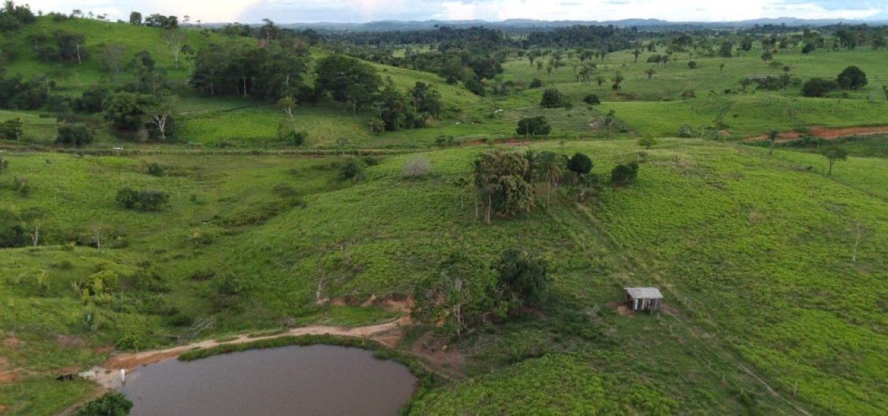 Oportunidade :Vende-se 22 alqueires, com 20 alqueires formados, localizada a 20 km de Jaru